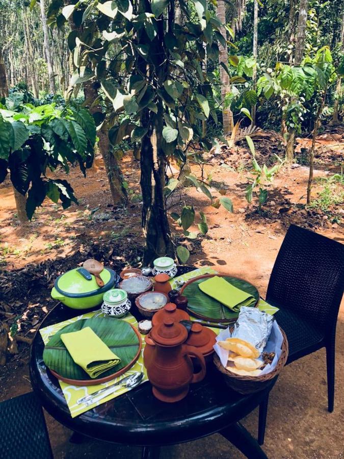 Kerala Wild Stay Kanthalloor Exterior foto